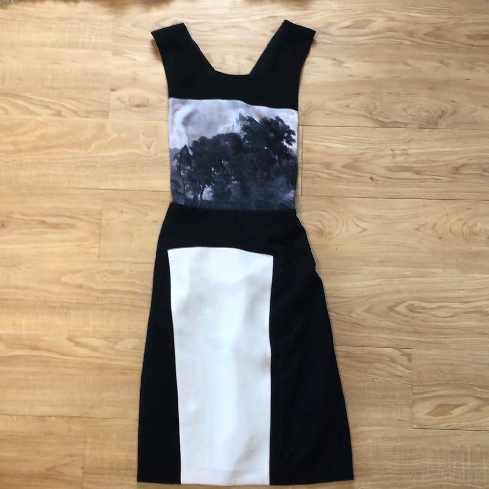 Knee length BCBGMAXAZRIA dress